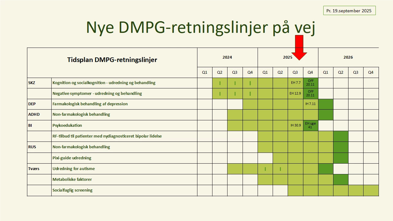 Oversigt over DMPG-retningslinjer på vej