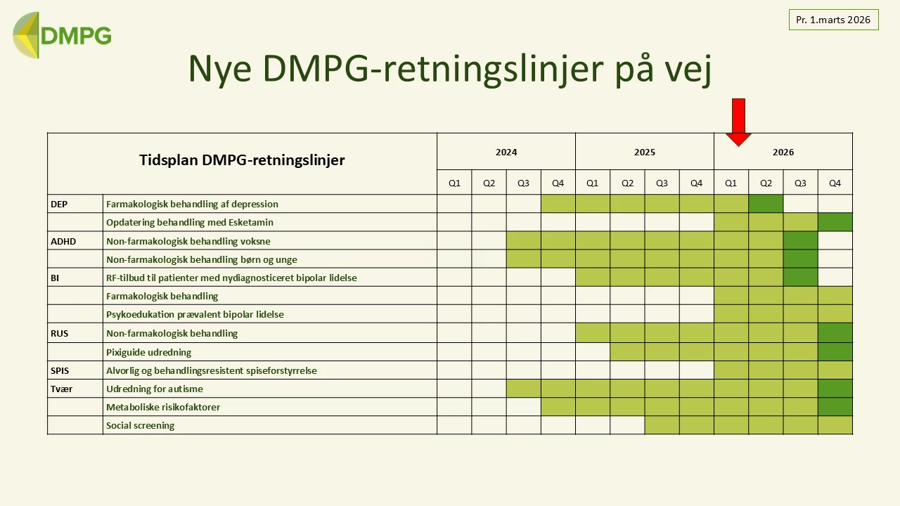 Oversigt over DMPG-retningslinjer på vej