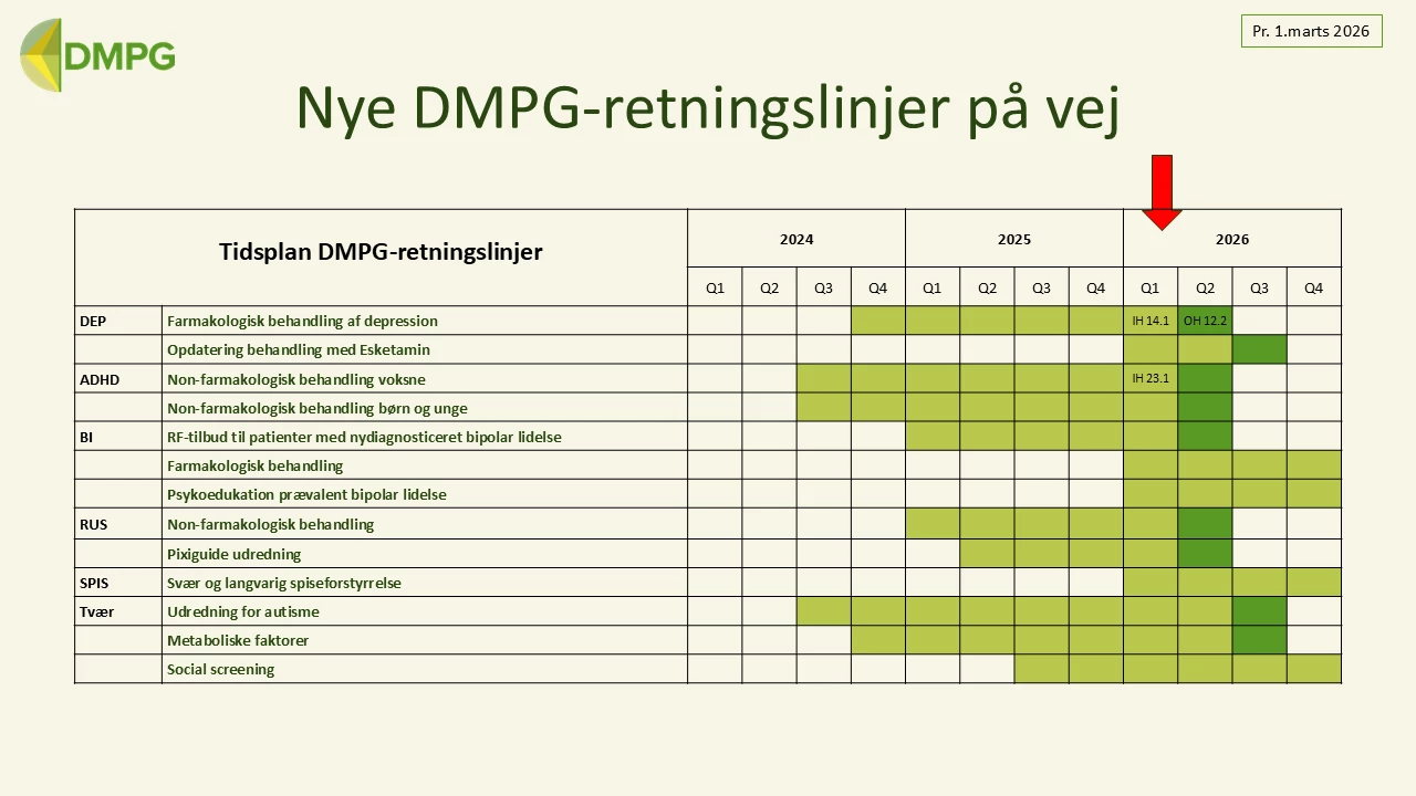 Oversigt over DMPG-retningslinjer på vej