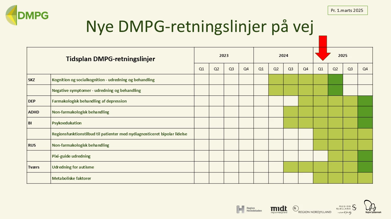 Oversigt over DMPG-retningslinjer på vej