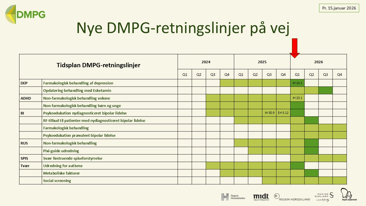 Oversigt over DMPG-retningslinjer på vej