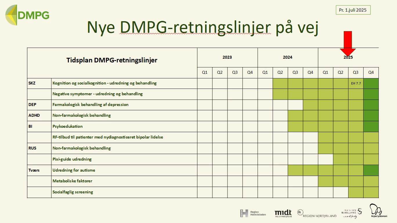 Oversigt over DMPG-retningslinjer på vej
